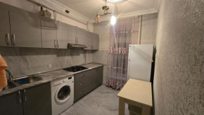 Cozy Flat in Baku
